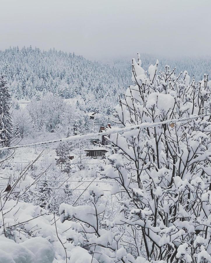 Zabava Daire Yaremche Dış mekan fotoğraf