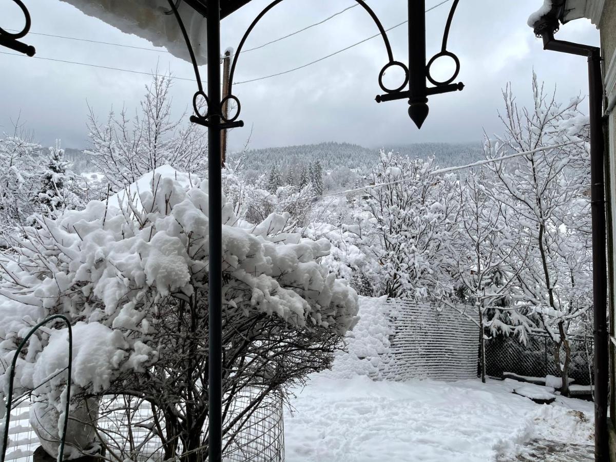 Zabava Daire Yaremche Dış mekan fotoğraf