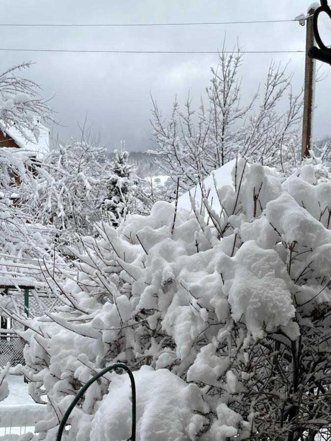 Zabava Daire Yaremche Dış mekan fotoğraf