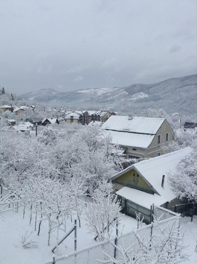 Zabava Daire Yaremche Dış mekan fotoğraf