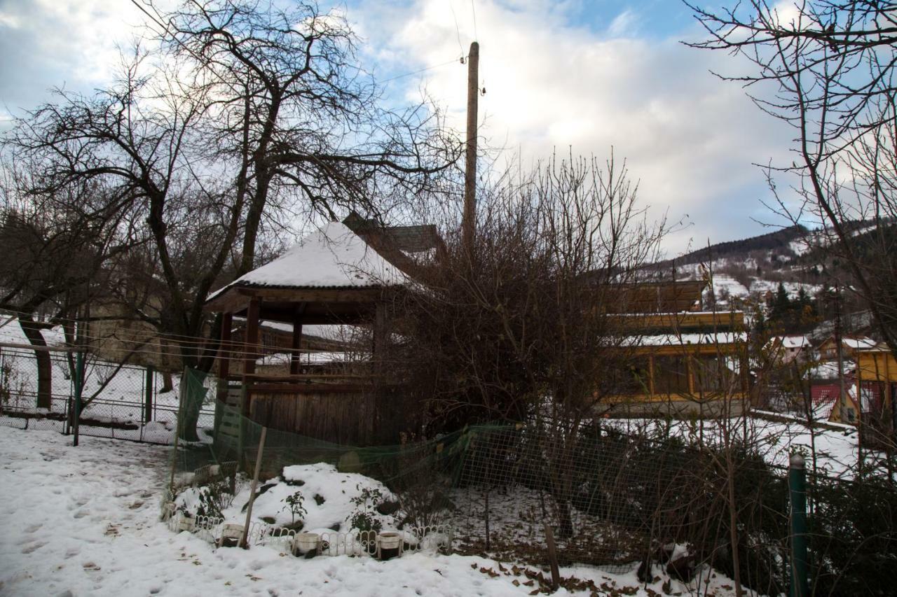 Zabava Daire Yaremche Dış mekan fotoğraf